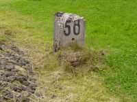 Bei km 58,000 an der Kanonenbahn in Bischhausen an Weinberg (Foto: Lothar Brill)