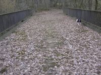 Feldwegbrücke (Auf dem Eichholz) in km 60,900 an der Kanonenbahn im Wehretal zwischen Waldkappel und Bischhausen (Foto: Lothar Brill)