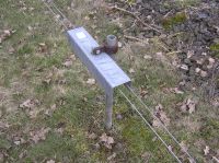 Leitungspfosten für ein bis zwei Leitungen an der Kanonenbahn im Wehretal zwischen Bischhausen und Waldkappel (Foto: N. N.)