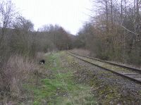 Blick nach Osten, Drahtzugleitung für die Anrufschranke, an der Kanonenbahn im Wehretal zwischen Bischhausen und Waldkappel (Foto: N. N.)