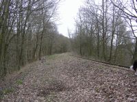 Blick nach Osten, Drahtzugleitung für die Anrufschranke, an der Kanonenbahn im Wehretal zwischen Bischhausen und Waldkappel (Foto: N. N.)