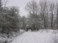 Umgebung an der Südseite der Unterführung am Dasbach an der Kanonenbahn im Wehretal zwischen Bischhausen und Waldkappel (Foto: N. N.)