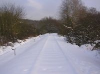 Blick nach Bischhausen an der Unterführung zum Sinnebach in km 60,400 (Foto: N. N.)