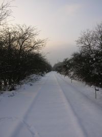 Blick zum ehemaligen Vorsignal des Bahnhofs Waldkappel an der Kanonenbahn im Wehretal zwischen Bischhausen und Waldkappel (Foto: N. N.)