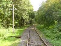 Fahrt mit der Draisine auf der Kanonenbahn bei km 60,250 (Sinnebach) in Richtung Bischhausen (Foto: Lothar Brill)