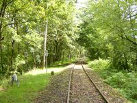 Fahrt mit der Draisine auf der Kanonenbahn bei km 60,200 (Sinnebach) in Richtung Bischhausen (Foto: Lothar Brill)