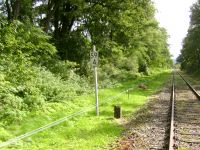 Fahrt mit der Draisine auf der Kanonenbahn bei km 59,400 (Am Krombach) in Richtung Bischhausen (Foto: Lothar Brill)